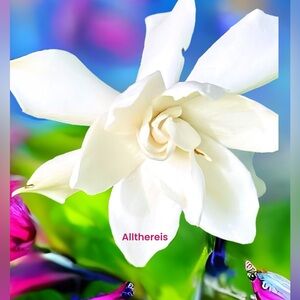 Nature and then some!